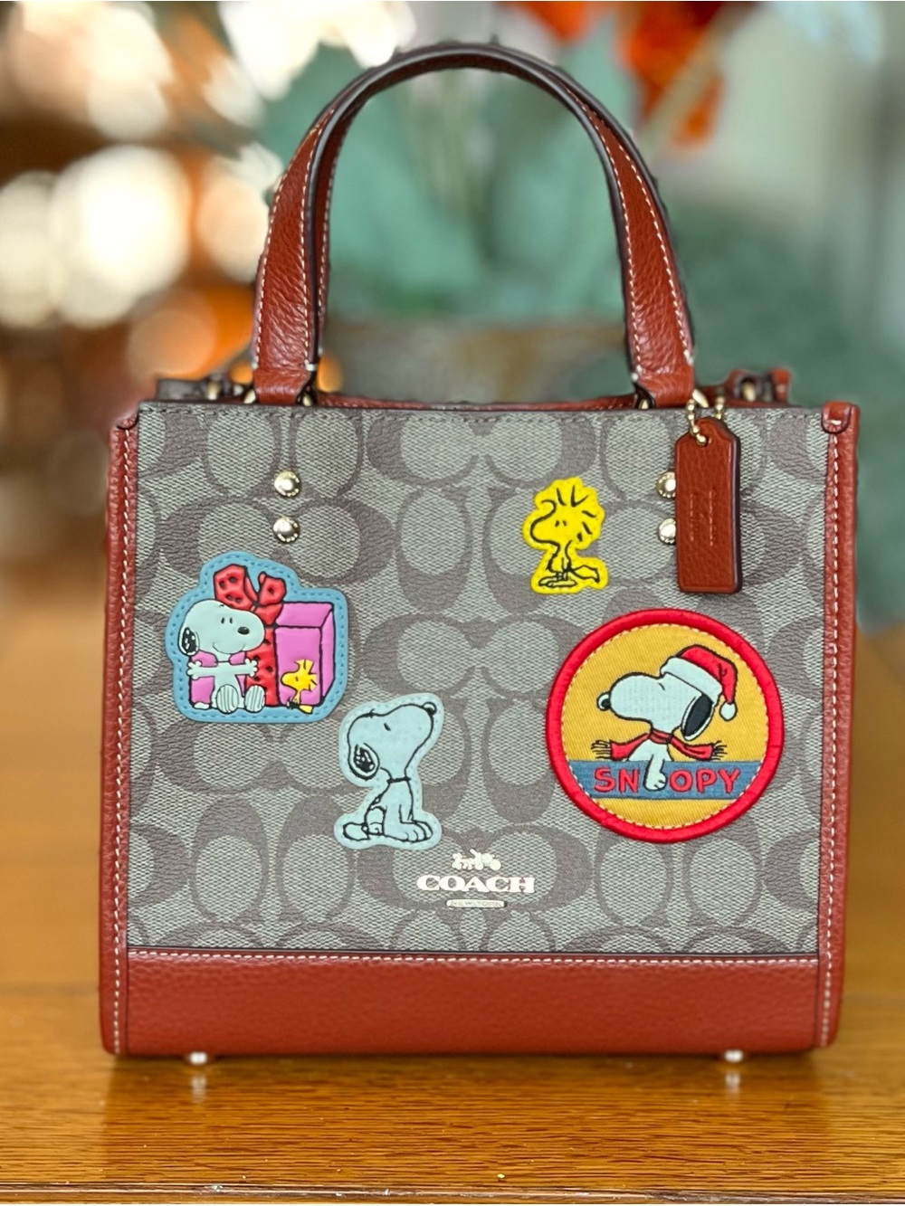 Coach x CE851 Signature Khaki/Redwood Multi Snoopy Patch Tote 22